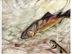 2010 Best of Show, Angelica Halvarsson, Age 15, Charleston County School of the Arts, Teacher: Anne Cimballa